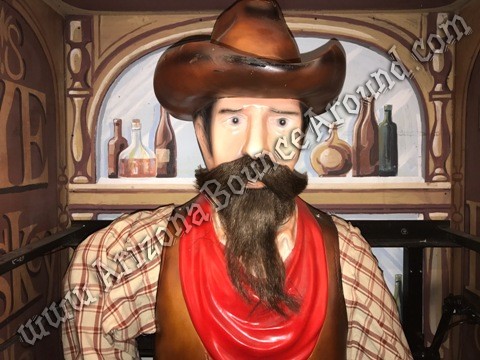 Western Quick Draw Game Rental Phoenix Arizona